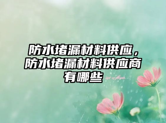 防水堵漏材料供應(yīng)，防水堵漏材料供應(yīng)商有哪些