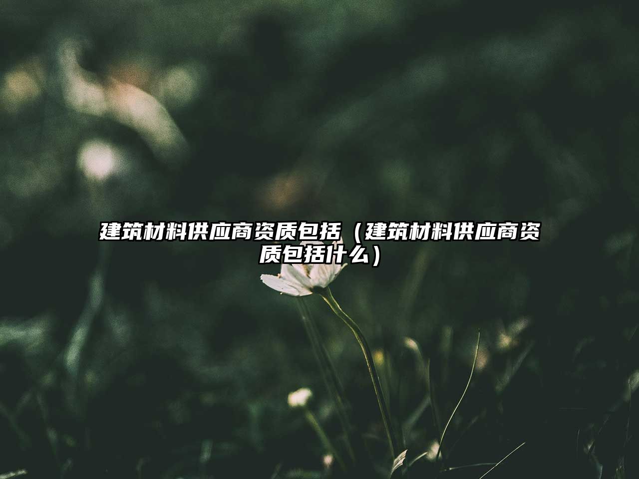 建筑材料供應商資質包括（建筑材料供應商資質包括什么）